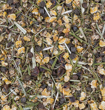 kachelnavi pferdefutter basis